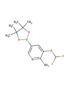 Astatech [6-AMINO-5-(DIFLUOROMETHOXY)PYRIDIN-3-YL]BORONIC ACID PINACOL ESTER; 0.1G; Purity 95%; MDL-MFCD18382479